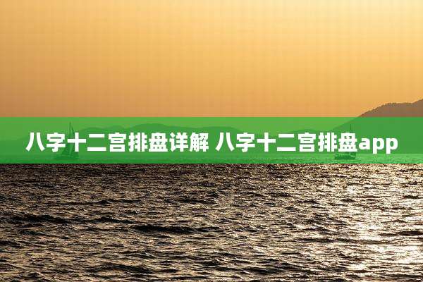 八字十二宫排盘详解 八字十二宫排盘app