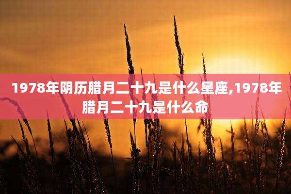 1978年阴历腊月二十九是什么星座,1978年腊月二十九是什么命