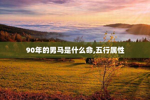 90年的男马是什么命,五行属性