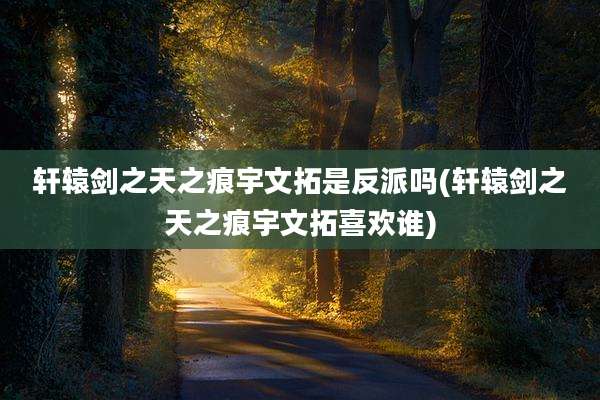 轩辕剑之天之痕宇文拓是反派吗(轩辕剑之天之痕宇文拓喜欢谁)