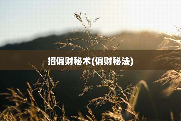 招偏财秘术(偏财秘法)