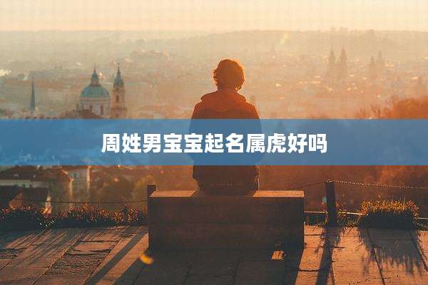 周姓男宝宝起名属虎好吗