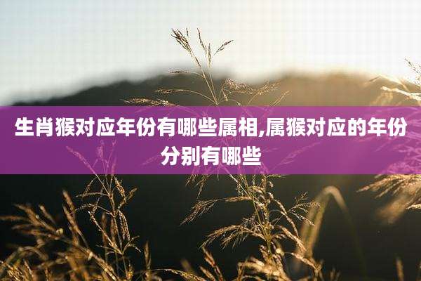 生肖猴对应年份有哪些属相,属猴对应的年份分别有哪些