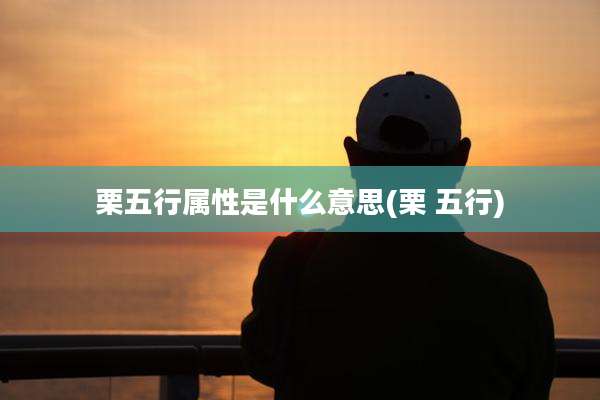 栗五行属性是什么意思(栗 五行)