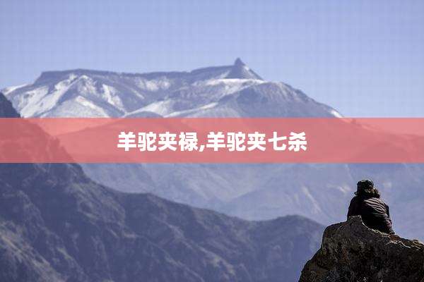 羊驼夹禄,羊驼夹七杀