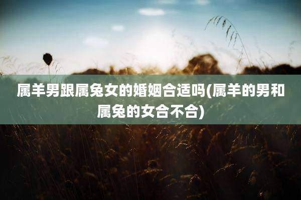 属羊男跟属兔女的婚姻合适吗(属羊的男和属兔的女合不合)