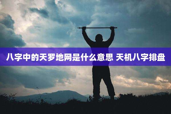 八字中的天罗地网是什么意思 天机八字排盘