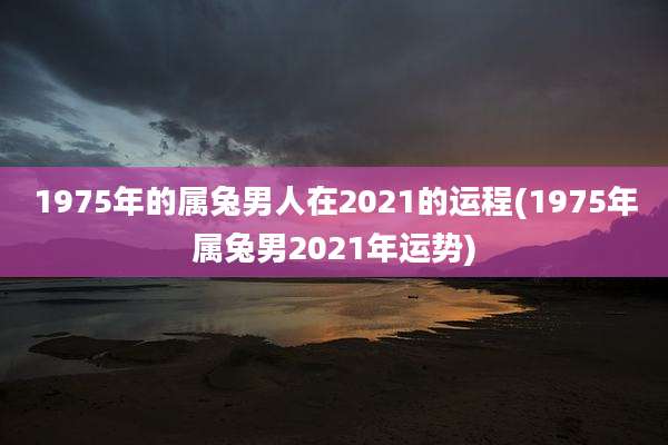 1975年的属兔男人在2021的运程(1975年属兔男2021年运势)