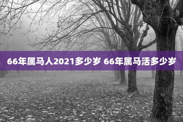 66年属马人2021多少岁 66年属马活多少岁