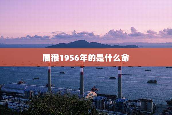 属猴1956年的是什么命