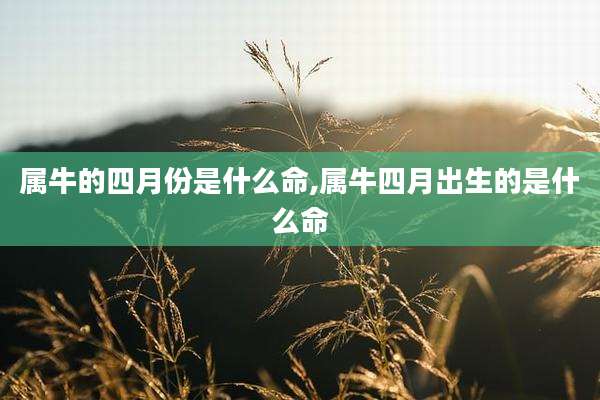 属牛的四月份是什么命,属牛四月出生的是什么命