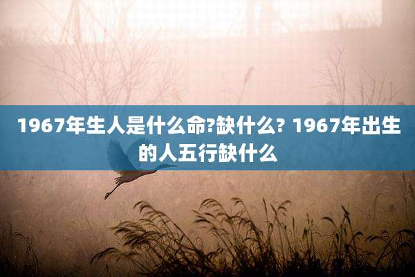 1967年生人是什么命?缺什么? 1967年出生的人五行缺什么