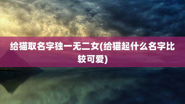 给猫取名字独一无二女(给猫起什么名字比较可爱)