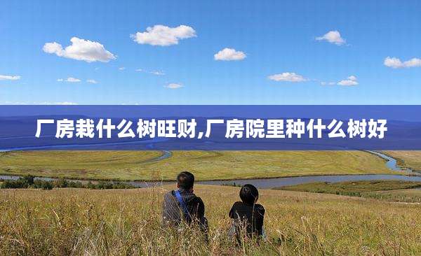 厂房栽什么树旺财,厂房院里种什么树好