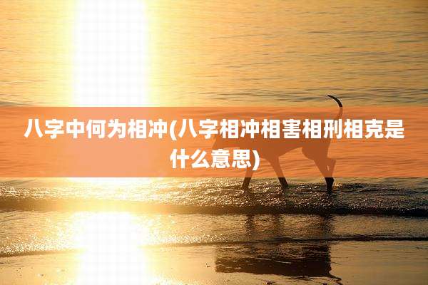 八字中何为相冲(八字相冲相害相刑相克是什么意思)