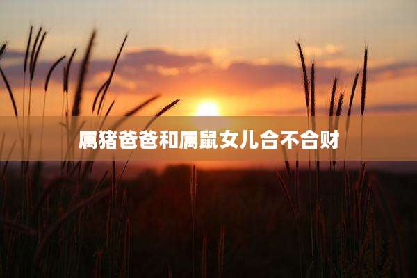 属猪爸爸和属鼠女儿合不合财