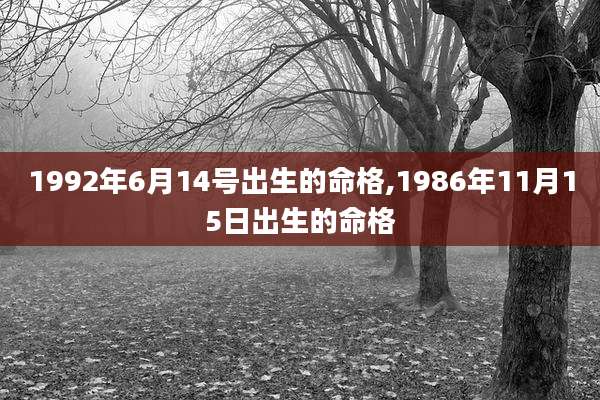 1992年6月14号出生的命格,1986年11月15日出生的命格