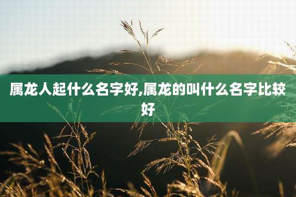 属龙人起什么名字好,属龙的叫什么名字比较好