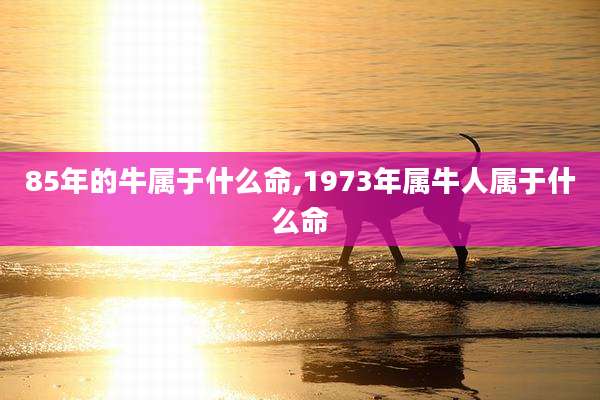 85年的牛属于什么命,1973年属牛人属于什么命
