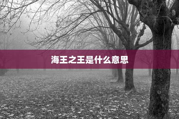 海王之王是什么意思