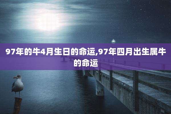 97年的牛4月生日的命运,97年四月出生属牛的命运
