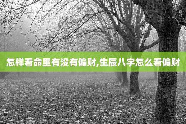 怎样看命里有没有偏财,生辰八字怎么看偏财