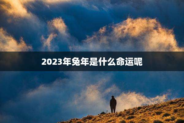 2023年兔年是什么命运呢