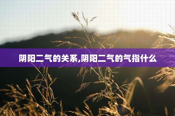 阴阳二气的关系,阴阳二气的气指什么