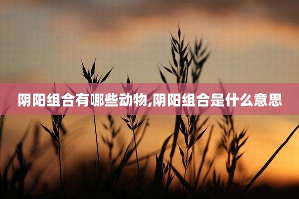 阴阳组合有哪些动物,阴阳组合是什么意思