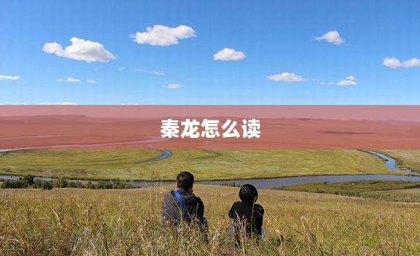 秦龙怎么读