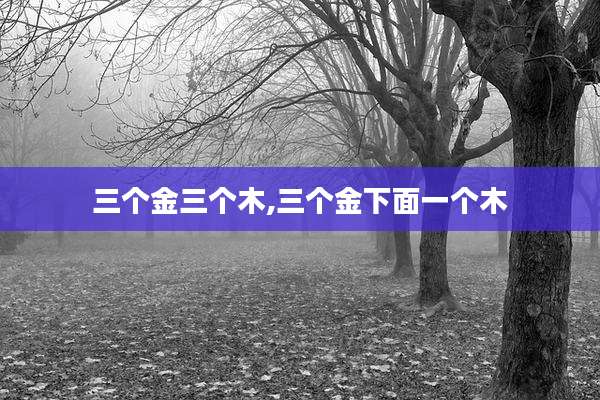 三个金三个木,三个金下面一个木