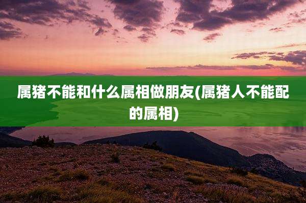 属猪不能和什么属相做朋友(属猪人不能配的属相)