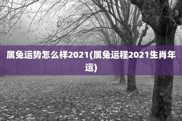 属兔运势怎么样2021(属兔运程2021生肖年运)