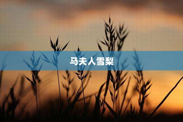 马夫人雪梨