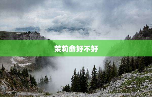 茉莉命好不好