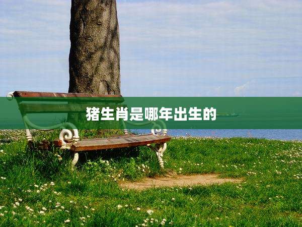 猪生肖是哪年出生的