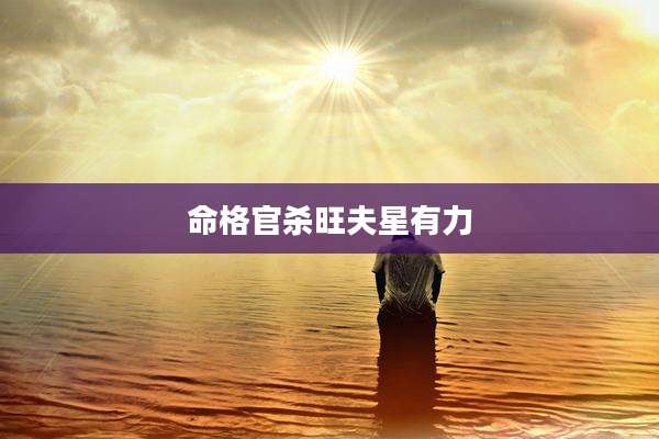 命格官杀旺夫星有力