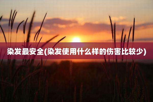 染发最安全(染发使用什么样的伤害比较少)