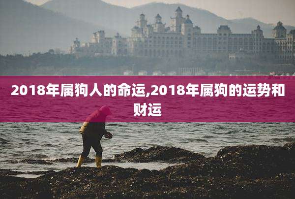 2018年属狗人的命运,2018年属狗的运势和财运