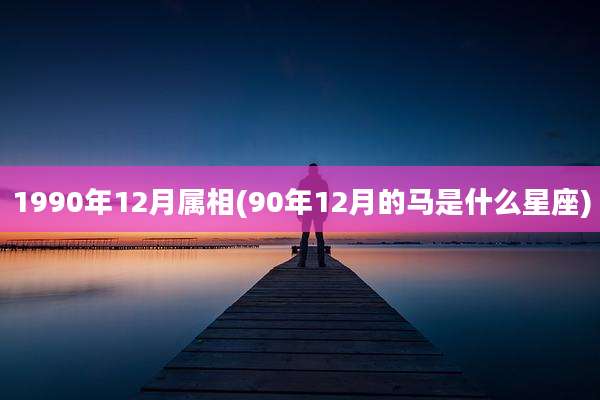 1990年12月属相(90年12月的马是什么星座)