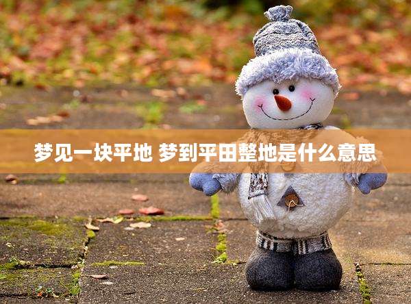 梦见一块平地 梦到平田整地是什么意思