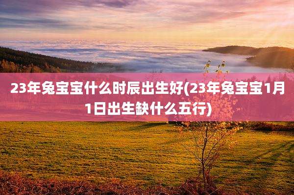 23年兔宝宝什么时辰出生好(23年兔宝宝1月1日出生缺什么五行)