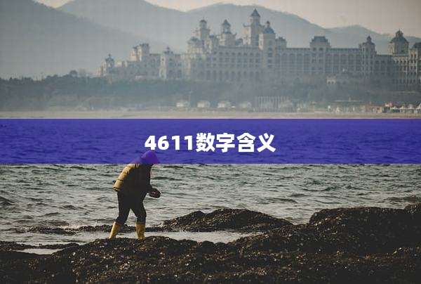 4611数字含义