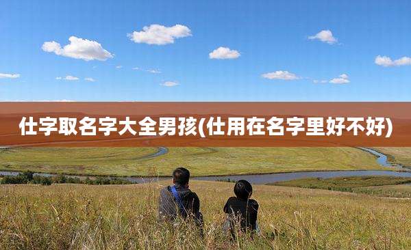 仕字取名字大全男孩(仕用在名字里好不好)