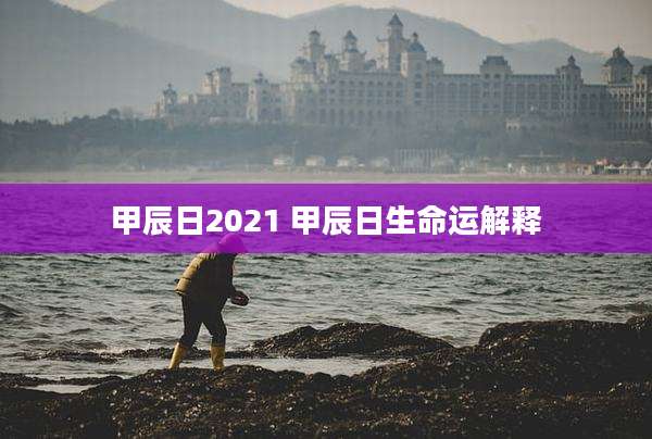 甲辰日2021 甲辰日生命运解释
