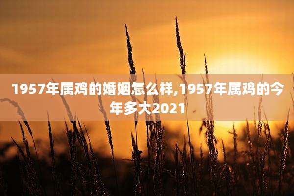 1957年属鸡的婚姻怎么样,1957年属鸡的今年多大2021