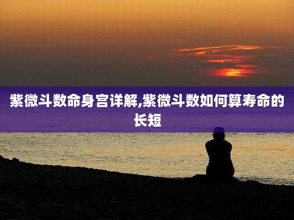 紫微斗数命身宫详解,紫微斗数如何算寿命的长短
