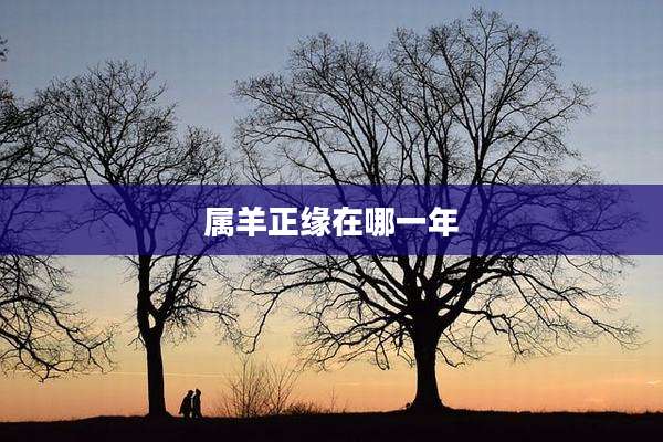 属羊正缘在哪一年