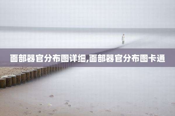 面部器官分布图详细,面部器官分布图卡通