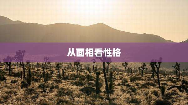 从面相看性格